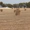 Riverland Farm Hay Bales