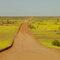 Strzelecki Desert Road