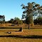 Cemetary