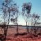 Mount Isa Waterhole