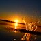 Lake Moondarra