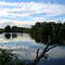Petrie Creek