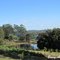 Strawberry Farm