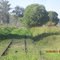 Old Beaudesert Branchline track at Gleneagle