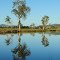 Morning Reflection