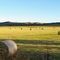 Beaudesert Hay Bales