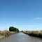 Irrigation canal, grain fields surrounding Murray River, 2012