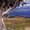 Bombala - north of.