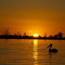 Barmera - Lake Bonney