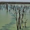 Kingston on the Murray - Wachtels Lagoon 2009 ( Save the River > use less Water)!!