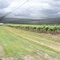 Bunjurgen Estate Vineyard Winery