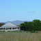Farmstead