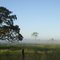 Boonah Sunrise