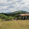 Derelict shack near Lake Moogerah