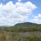 Mount French