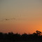 Boggabri Sunrise NSW