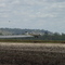 Crop Dusting the Sorghum