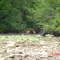 Wildlife on the Catawba River - July 2007