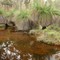 Julimar Creek