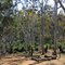 Julimar Picnic Site on Spice Brook