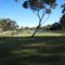 Memorial Park