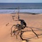 nullarbor dune sculpture
