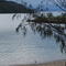 brampton island