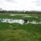 Wetlands am Proserpine River