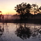 Goorganga Plains
