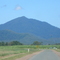 Mount Quandong Kelsey Creek
