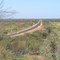 Long way...through the Bush