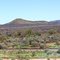 Driving on the Stuart Highway