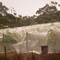 Bacchus Hill Winery