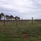 Winery Land - Baccus Marsh