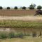 Bacchus Marsh outskirts...