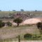 Maddingley Coalmine