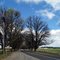 Avenue of Honour (2011). Dating from 1918 and dominated by Dutch Elms, this extends approx 3.3 kms from the Western Fwy to the centre of Bacchus Marsh