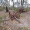 Old Farm Machinery on Happy Valley Track