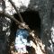 Sweers Lime Kiln