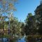 Stockyard Creek reflections