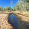 White eucalyptus trunk and river bed