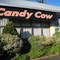 Candy Cow