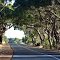 Caves Road Near Cowaramup