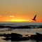 Somerset Beach at daybreak