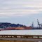 Burnie , wood pulp loading facility ..