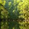 misty river by David Gibbs