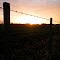 Tasmanian Sunset