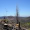 Fire ravaged Bunyip from Sisters