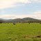 Bunyip state park from Labertouche North road
