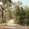 Bunyip State Park